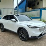 971f707581a3a4851cf2e6a304019886