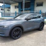 2a798ab153df18ac8df6eee8f4901b3c