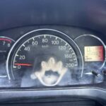 41f5591d3bde2443fe55664c6a44ff3c