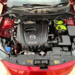 ed035f77da2a910327a71390ca0169c5