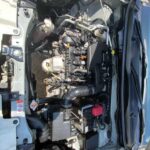 2598ff1f0a01fb6fa1767a0e95d1e128